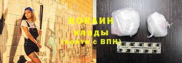 PSILOCYBIN Медвежьегорск