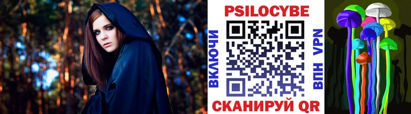 это клад хочу наркоту Тында Псилоцибиновые грибы ЛСД