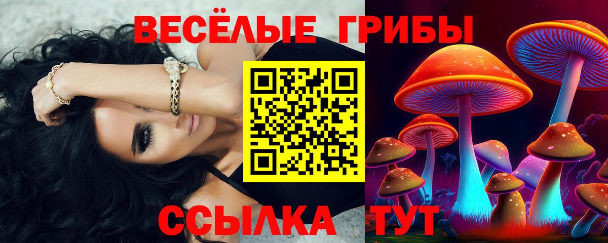 Псилоцибиновые грибы Psilocybe Тында