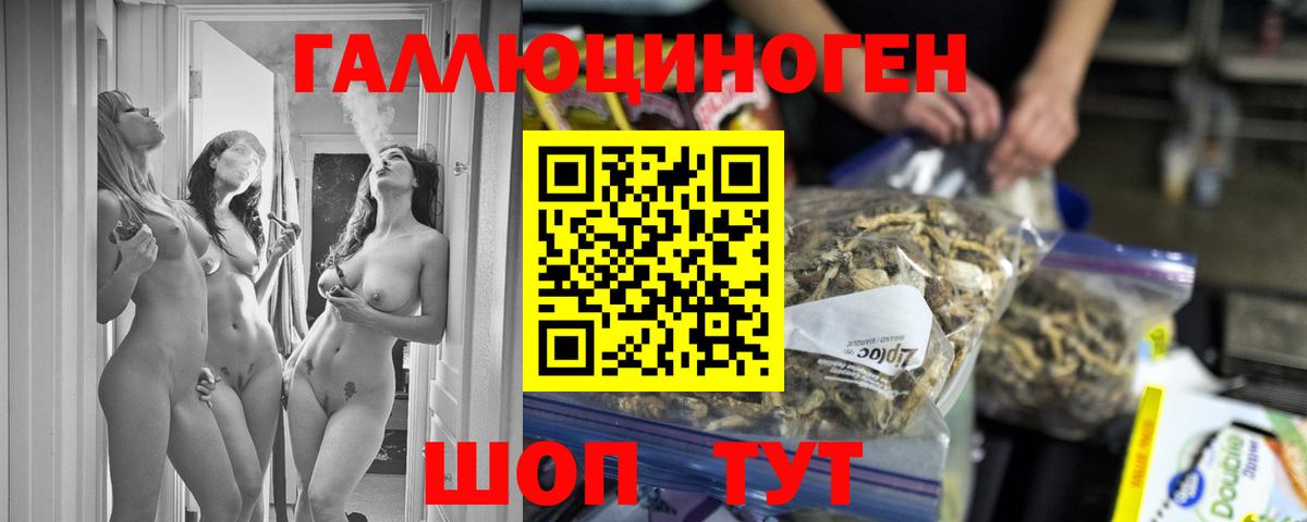 Галлюциногенные грибы Cubensis  Тында 