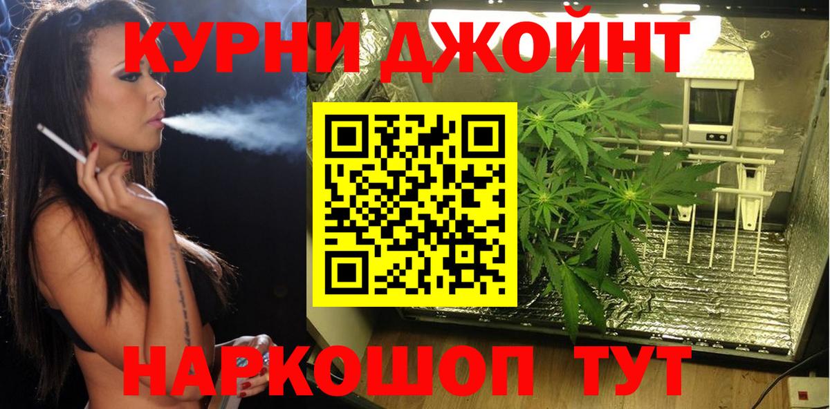 Каннабис White Widow  Канабис гибрид  Тында 